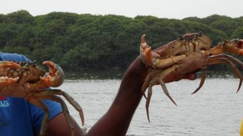 5 Days Negombo Sightseeing & Beach 1