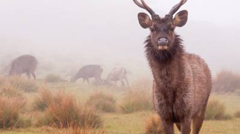 6 Days Central Highlands Unesco World Heritage Adventure Tour 4