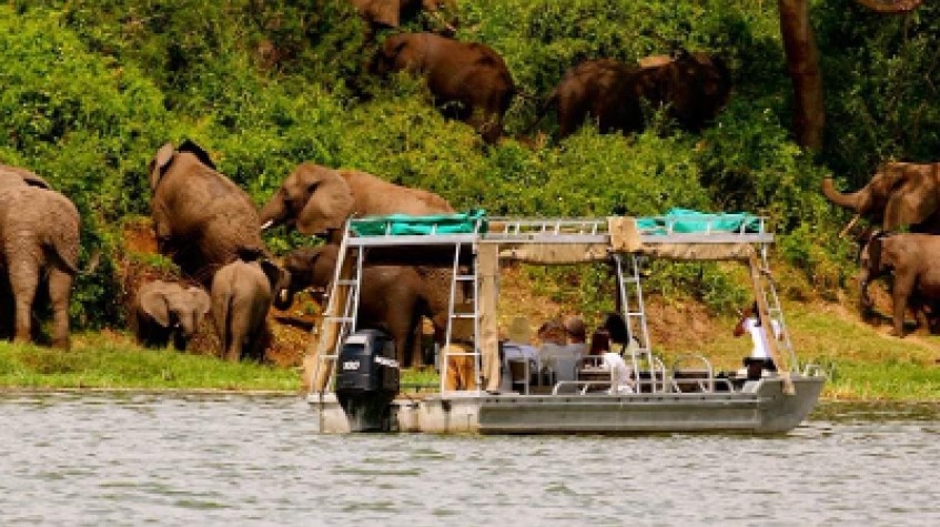 7 Days Uganda Wildlife Safari 1