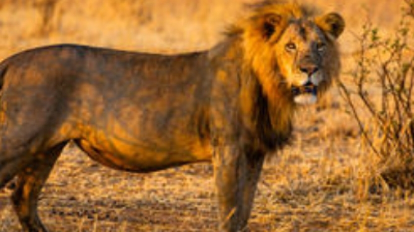 Tanzania Active Family Adventure 3