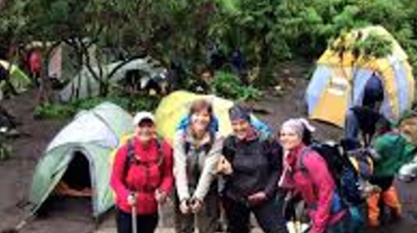 7 Days Offer Mt Kilimanjaro Machame Trekking 4