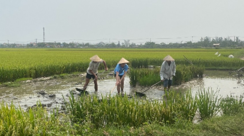 Half Day Exploring Hoi an Countryside in a Vespa 2