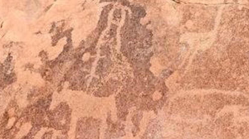 8 Days Sossusvlei, Swakop, Twyfelfontein & Etosha (Lodging) 4