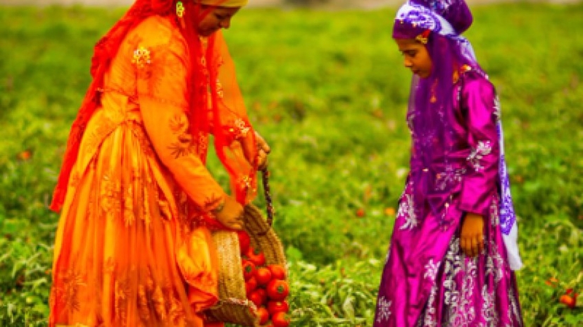 Glance of Persia 7 Day Tour Package 3
