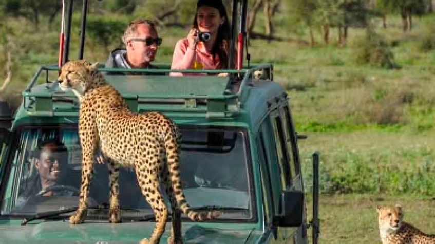 11 Days Best of Uganda Safari 1