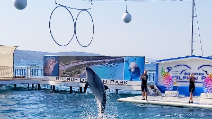 Bodrum Dolphin Show Tour 2