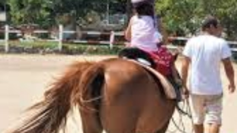 Daily Horse Riding Tour Bodrum 3