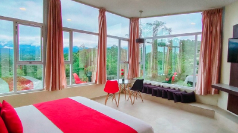 Hotel Ecopark in Puyo 2
