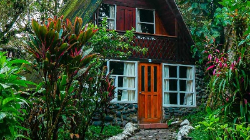 Natural Experience in El Carmel 2