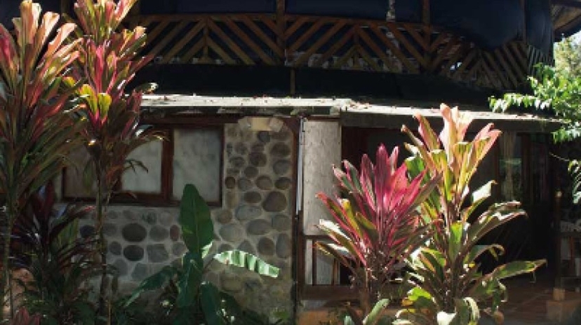 Natural Experience in El Carmel 4