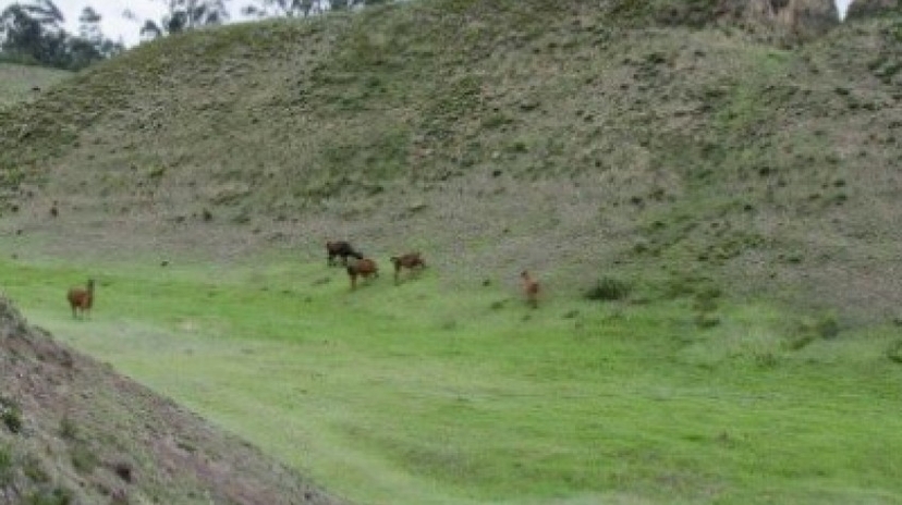 7 Days Exploring the Andes: Off the Beaten Path 3