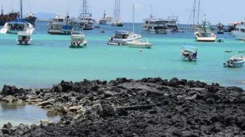 5 Days Galapagos Wildlife Discovery 3