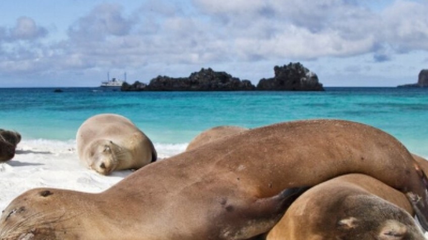 10 Days Galapagos Island Hopping in Santa Cruz and Isabela 1