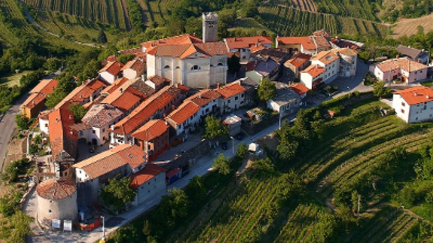 Goriška Brda Slovenia Wine Region Tour Vineyard and Scenic Experience 1
