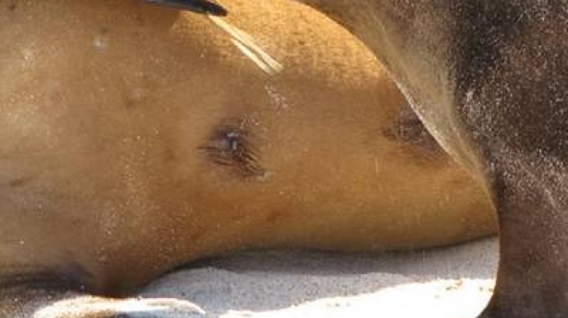 Galapagos Express Tour 6 Days 3