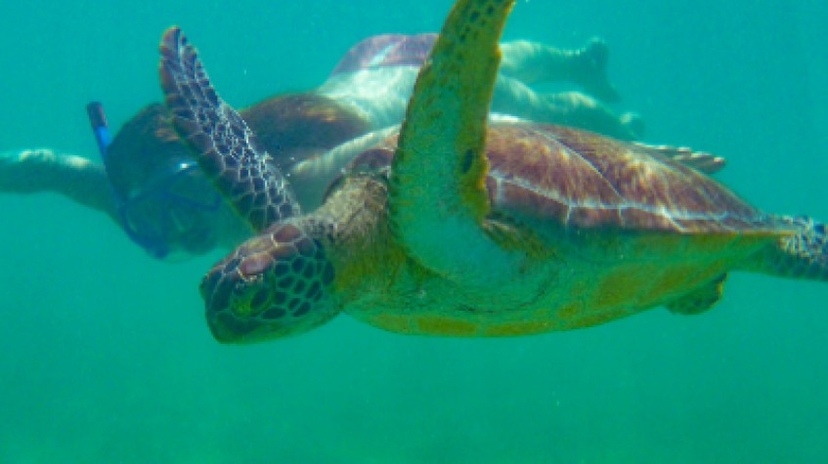 Philippines: See & Experience It All in 14 Days, 1St Class Custom Tours 3