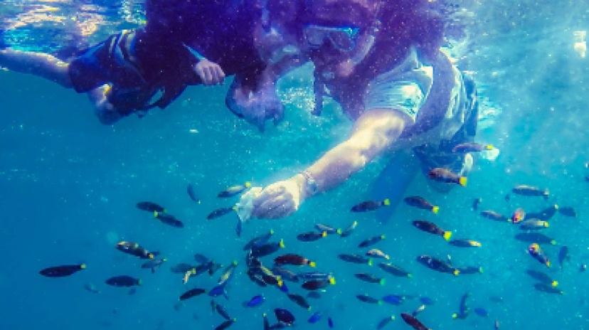 Palawan Archipelago, Philippines: See & Experience It All in 7 Days, 1St Class Custom Tours 3