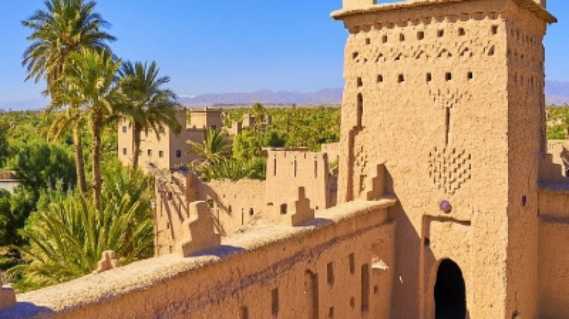 8 Days Discovery Tours - Kasbah & Oasis 4