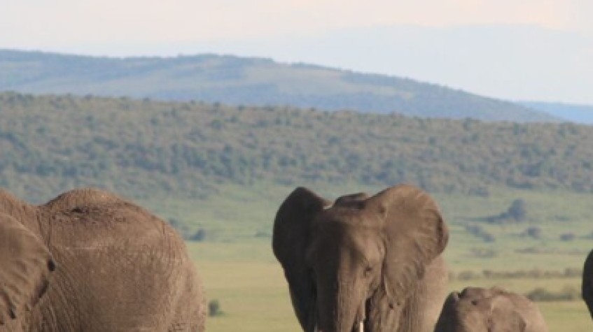 3 Days Mesmerising Mara 1