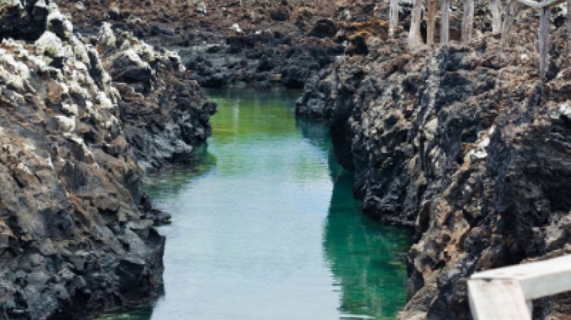 6D Galapagos Highlights 4