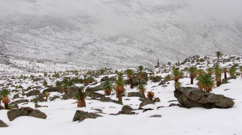 Daily Simein Mountain Trek Tour 4