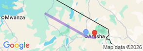 The Ultimate Migration Safari