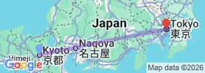 10-hour private charter in Kyoto, Alphard.