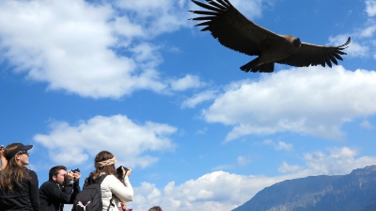 Colca Canyon - Uros Taquile 3 Days