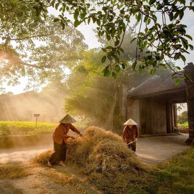 Northeast of Vietnam (10 Days - 9 Nights)