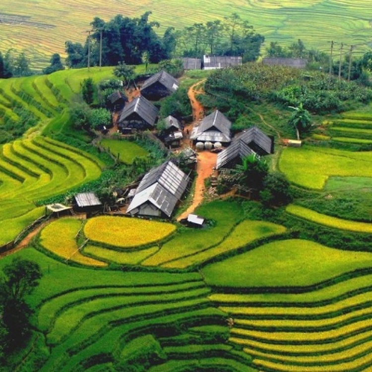 Hanoi - Sapa - Laochai - Tavan - Seo Trung Ho - Banho - Thanhphu - Sapa by Night Train (7 Days - 6 Nights)