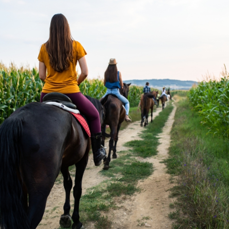 5 Days Horse Riding Package Istanbul Tour