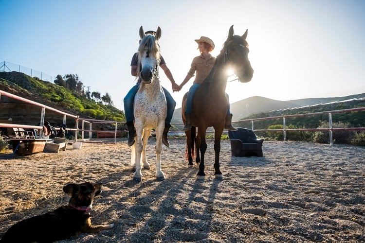 Daily Horse Safari From Istanbul