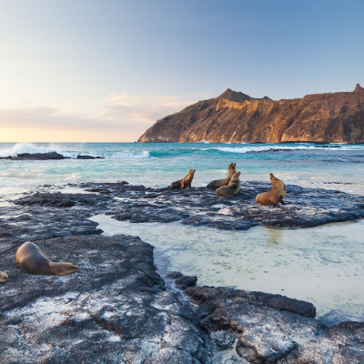 5 Days Galapagos Island Hopping: San Cristobal & Santa Cruz