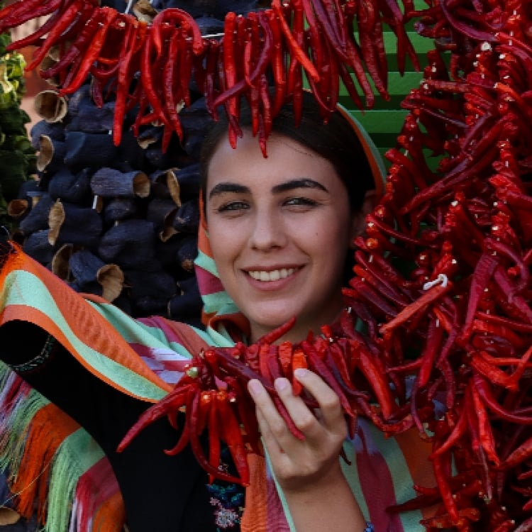 Daily Gaziantep City Tour from Mardin