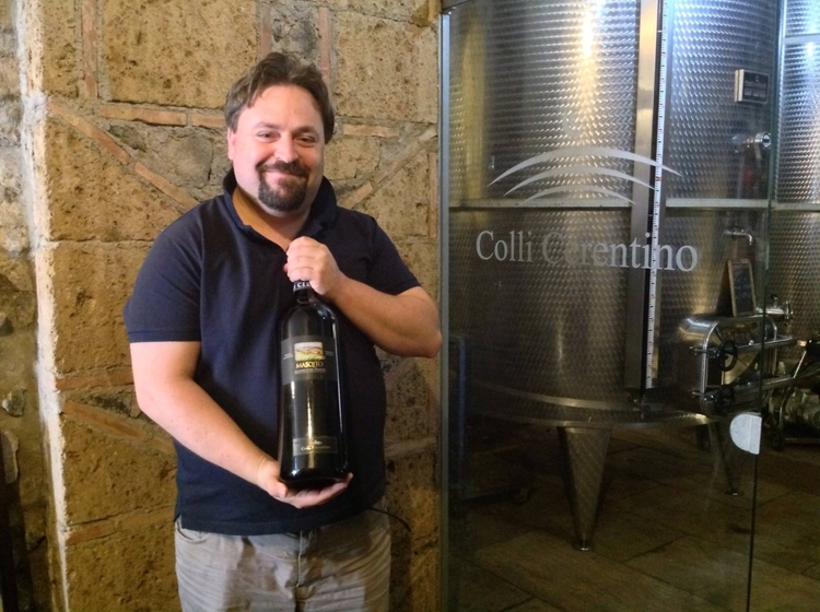 Half Day Irpinia Wine Tour From SALERNO