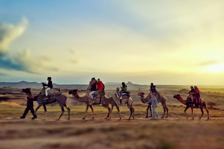 Cappadocia Two Hours Camel Riding With Sunrise Or Sunset Option