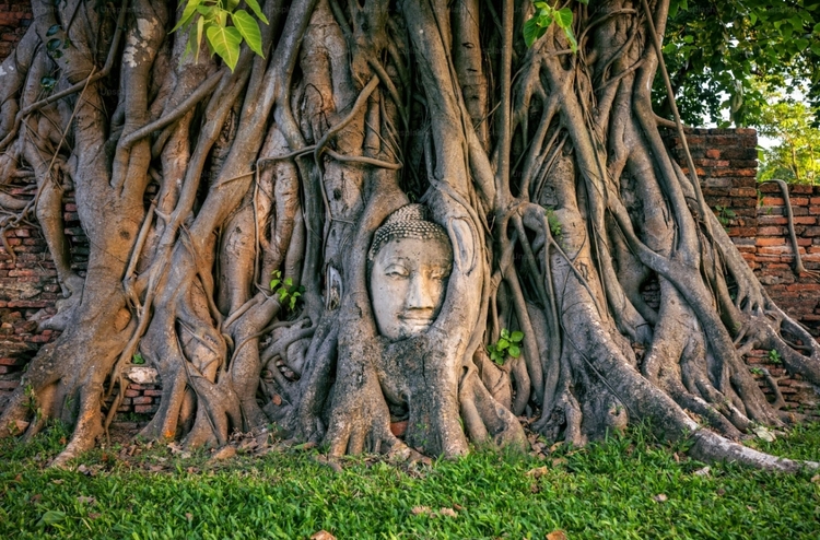 Ayutthaya Afternoon Tour with Sunset Boat Ride