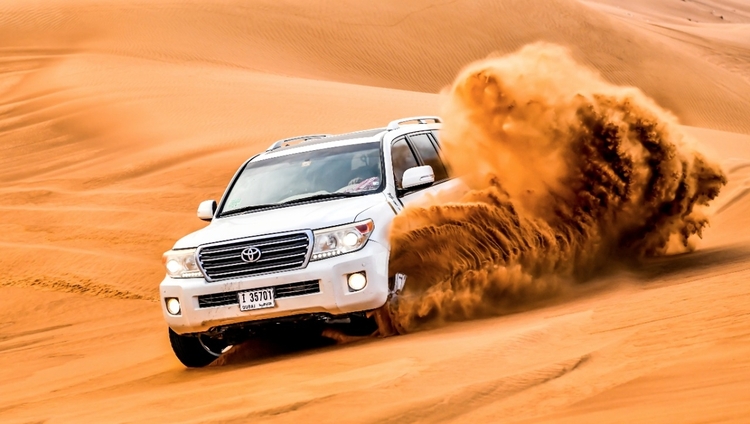 Dubai Evening Desert Safari Tour