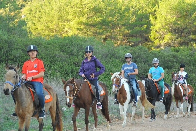 Ephesus Full-Day Tour with Horse Safari from Kusadasi Cruise Port max 10 people