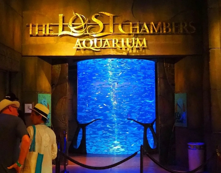 Dubai:-The Lost Chambers aquarium Ticket & shared Transfer