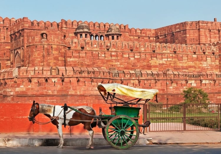 3 Night 4 Day Golden Triangle Tour