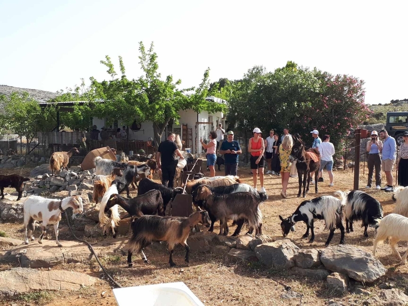 Malia: Lasithi Plateau Zeus Cave Guided Tour 4