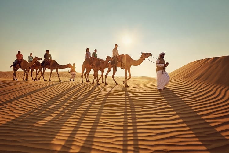 Dubai: 7 Days Delight Package with Hotel Transfers