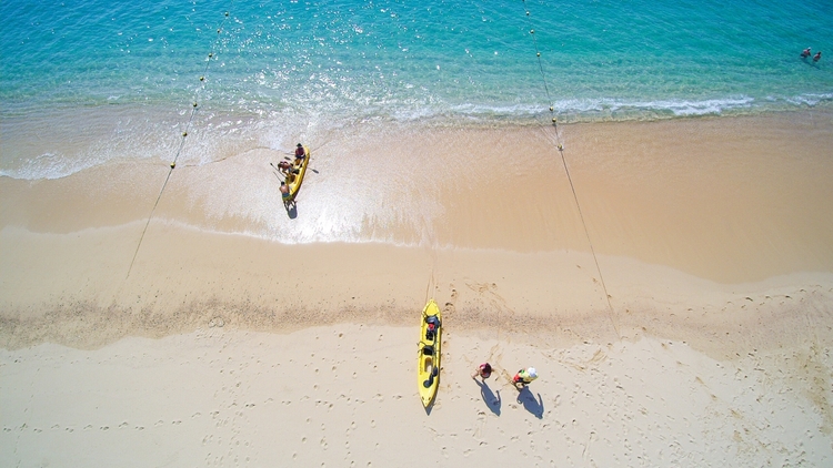 Glass-Bottom Kayaking in Cabo & Snorkeling Tour at Two Bays