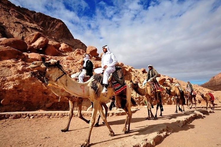 Egypt: 11-Hour Dahab Adventure: Blue Hole, Snorkelling, Camel ride and Lunch from Sharm El Sheikh