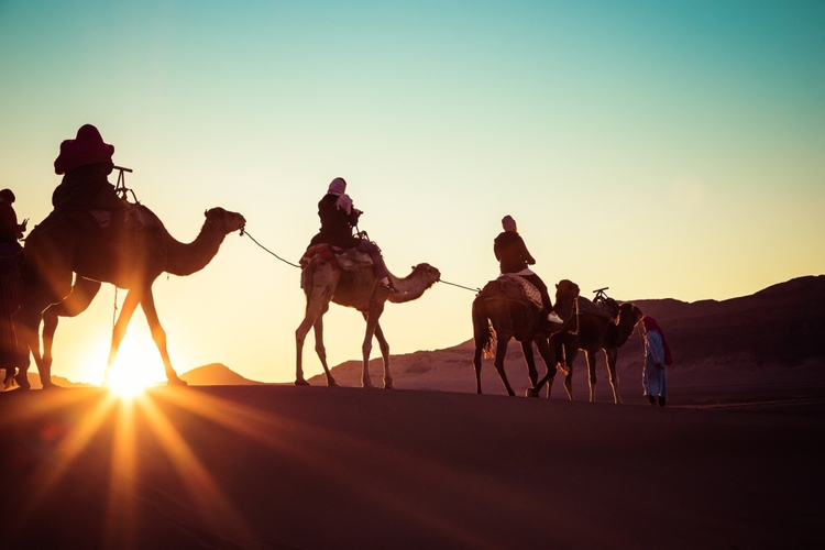 8 Days – Morocco, the Great Desert from Costa del Sol