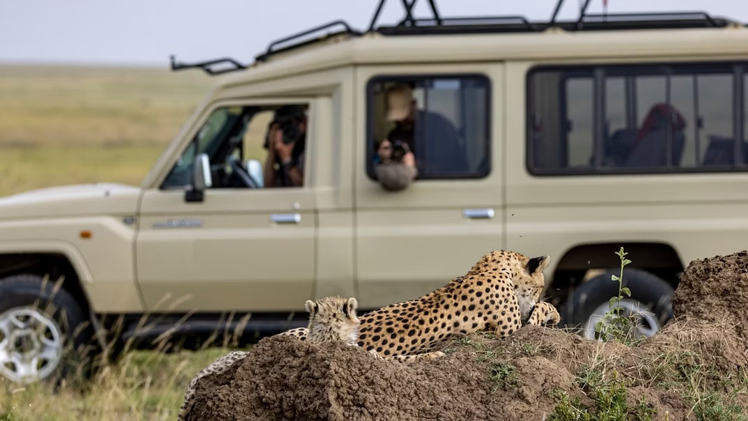 The Great Migration Safari 6