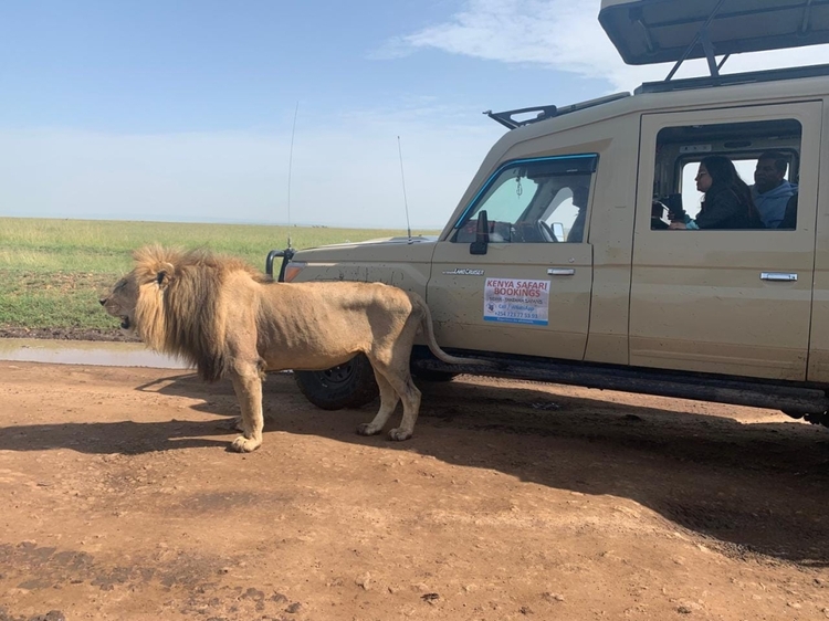 3 Days Masai Mara Group joining by safari van