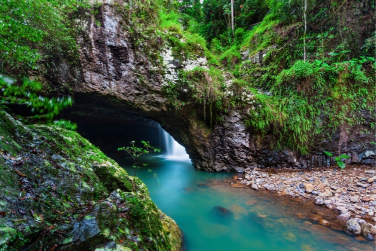 Spring Brook National Park Self Guided Driving Tour with an APP