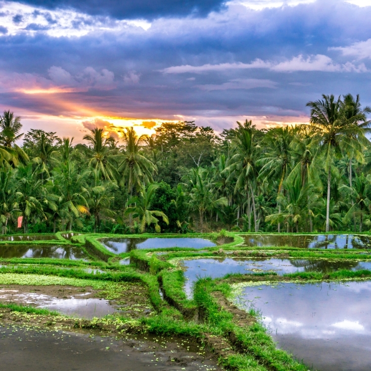 8 Days Bali Road Trip Explore Bali Your Way